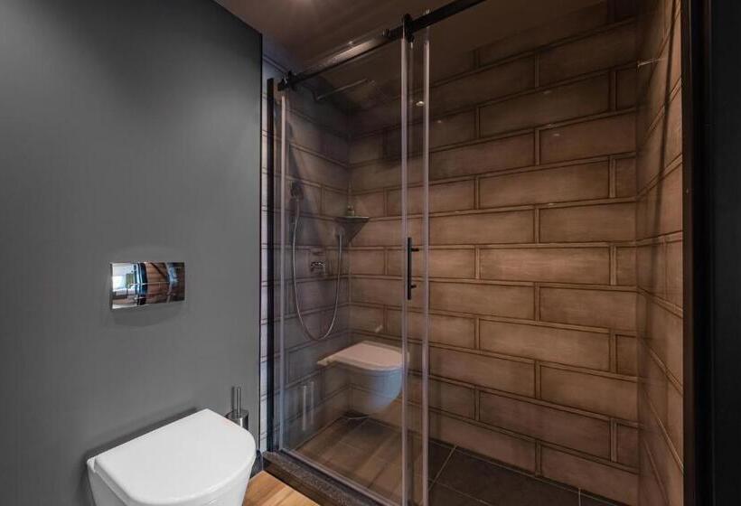 豪华房间, Barcelo Budapest