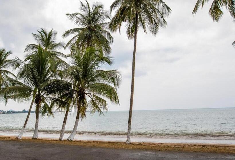 اتاق لوکس, Paradise Agua Leve Residential