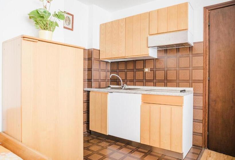 Студия Стандарт, Residence Dolomia