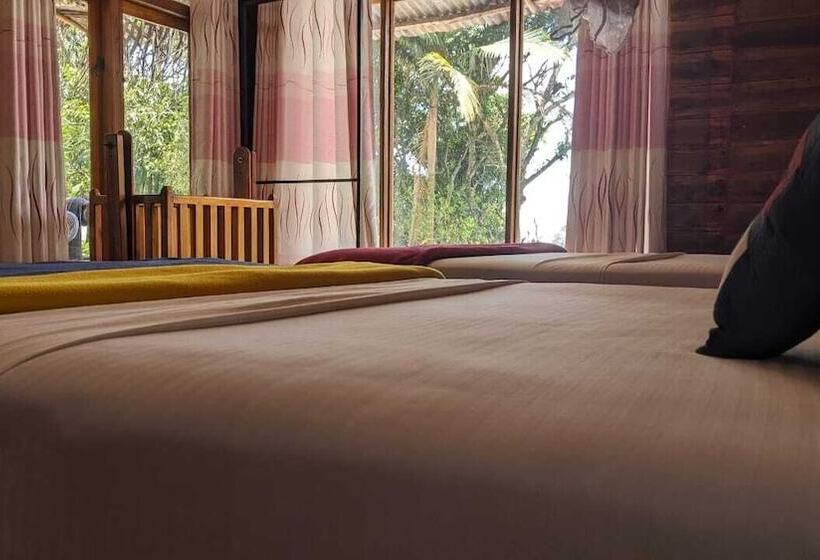 Quarto Familiar, Ella Nature Nest