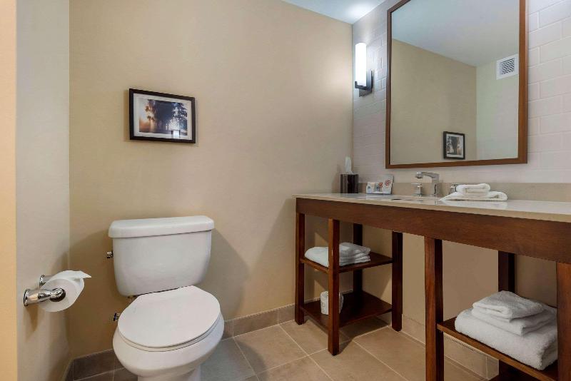 Люкс Кровать Кинг, Comfort Inn & Suites