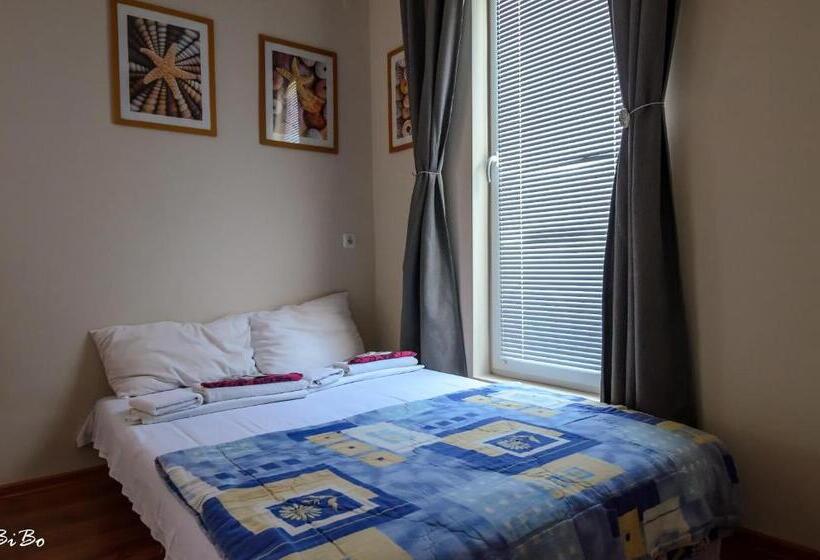 Студио Стандарт с Балконом, Dom Mladenovi B&b