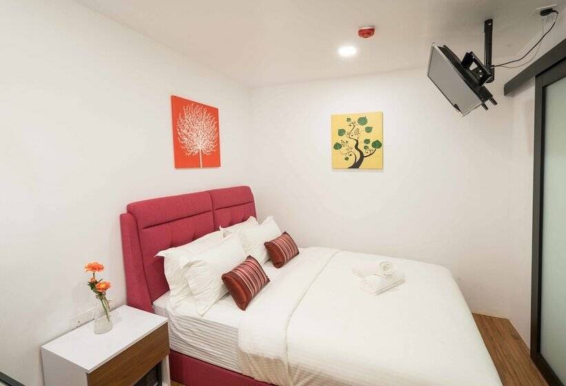 Quarto Superior, My Sj