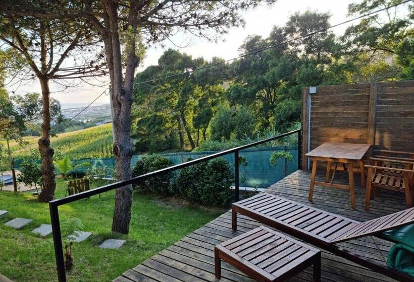 سوییت با چشم‌انداز دریا, Place Of Moments Natur