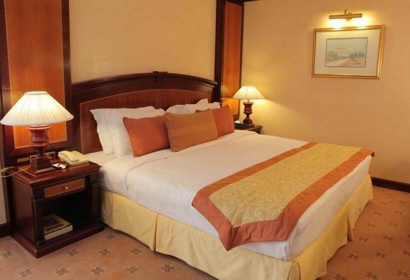 Номер Executive, Knight Castle Hotel   Formerly Known As Carlton Palace