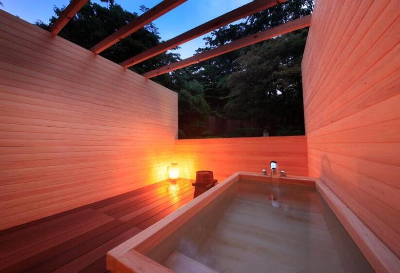 Номер Стандарт, Hakone Fuga