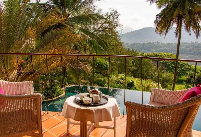 Номер Deluxe с Балконом, Bougainvillea Retreat