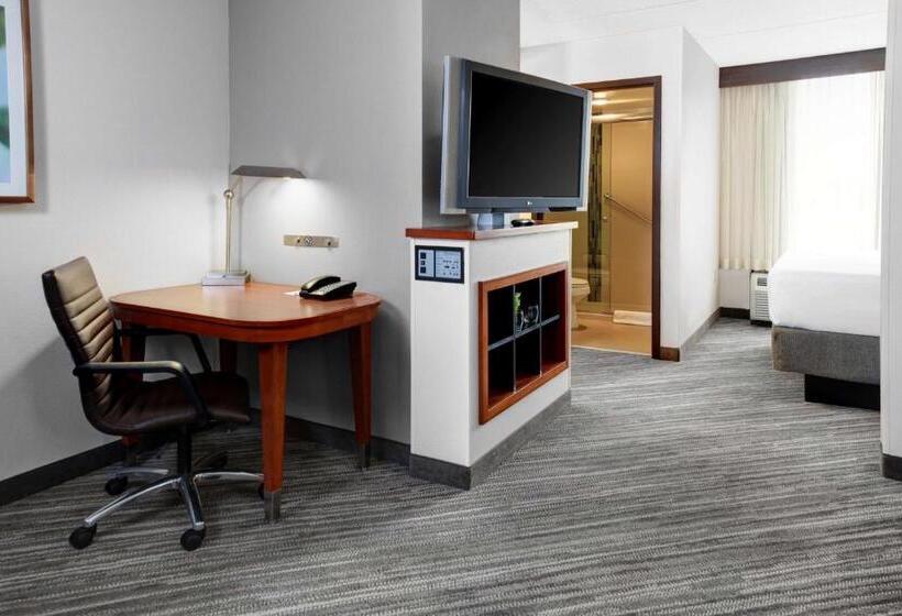 חדר סטנדרט שתי מיטות זוגיות, Hyatt Place Chicago/itasca