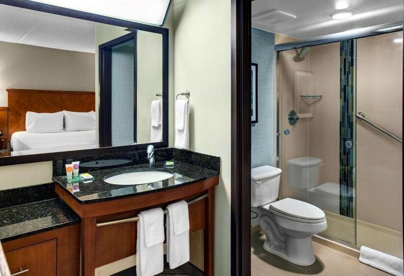 חדר סטנדרט עם מיטת קינג, Hyatt Place Chicago/itasca