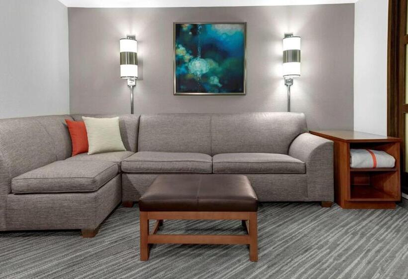 חדר סטנדרט עם מיטת קינג, Hyatt Place Chicago/itasca