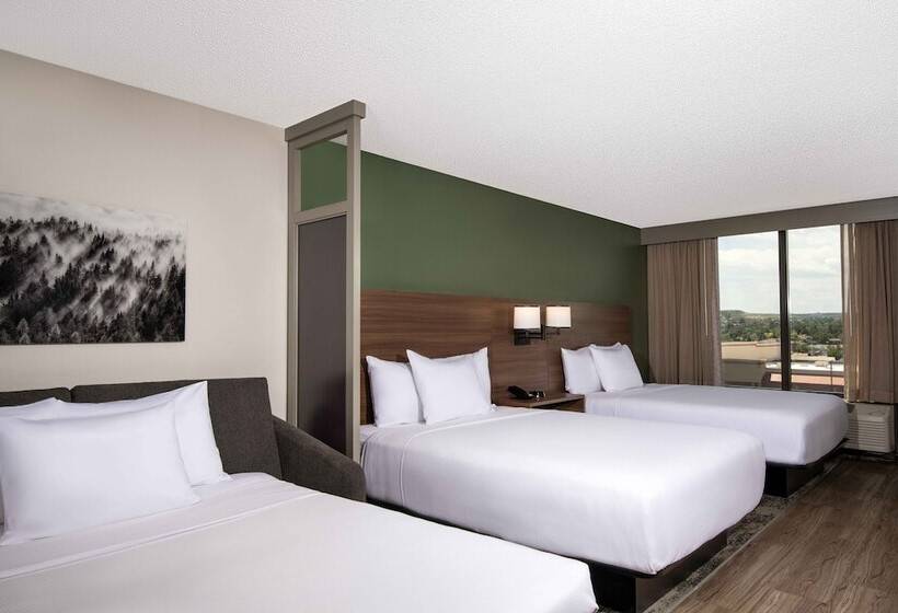 Номер Стандарт 2 Двуспальные Кровати, Hyatt Place Denver South/park Meadows