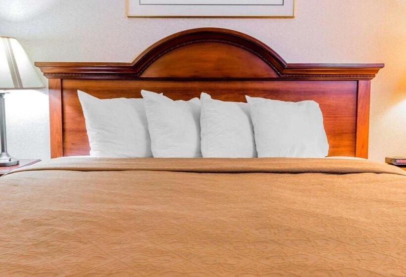 Standard-huone King-vuode, Quality Inn Grand Rapids North