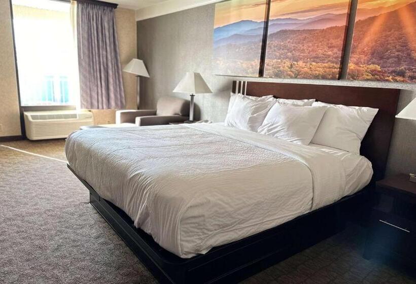 Номер Стандарт Кровать Кинг Адаптированный для Инвалидов, Days Inn By Wyndham Columbia Kentucky