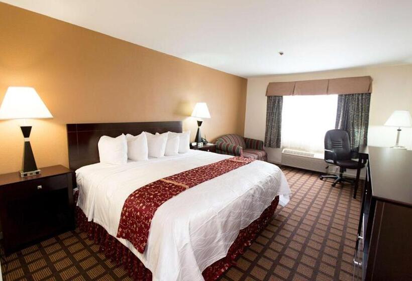 اتاق استاندارد با تخت بزرگ, Best Western Oakbrook Inn