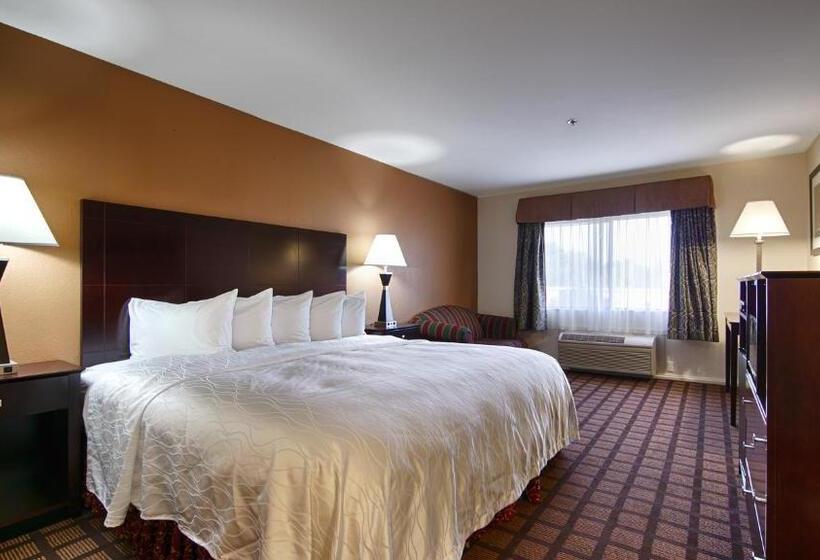 Номер Стандарт Кровать Кинг Адаптированный для Инвалидов, Best Western Oakbrook Inn