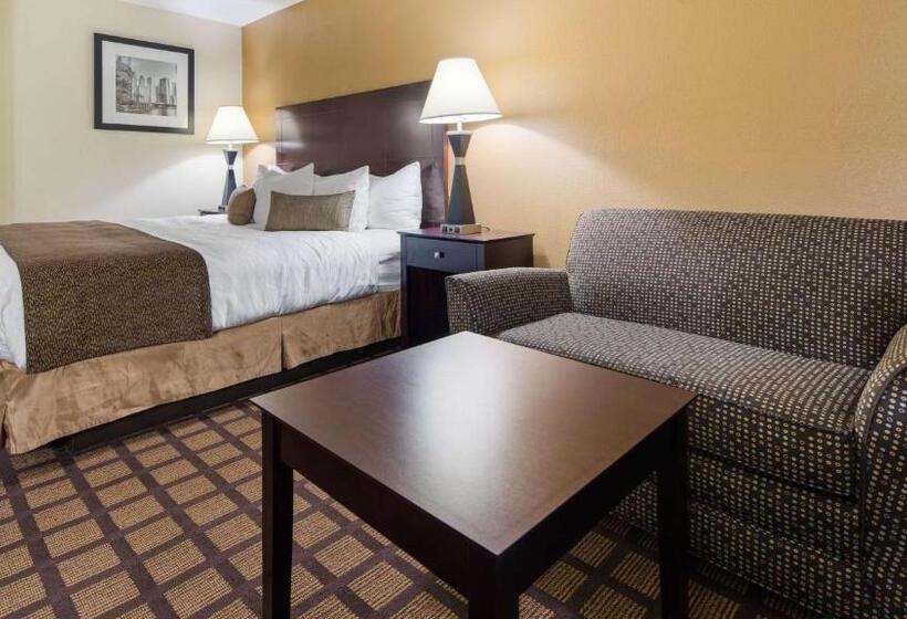 اتاق استاندارد با تخت بزرگ برای معلولان, Best Western Oakbrook Inn