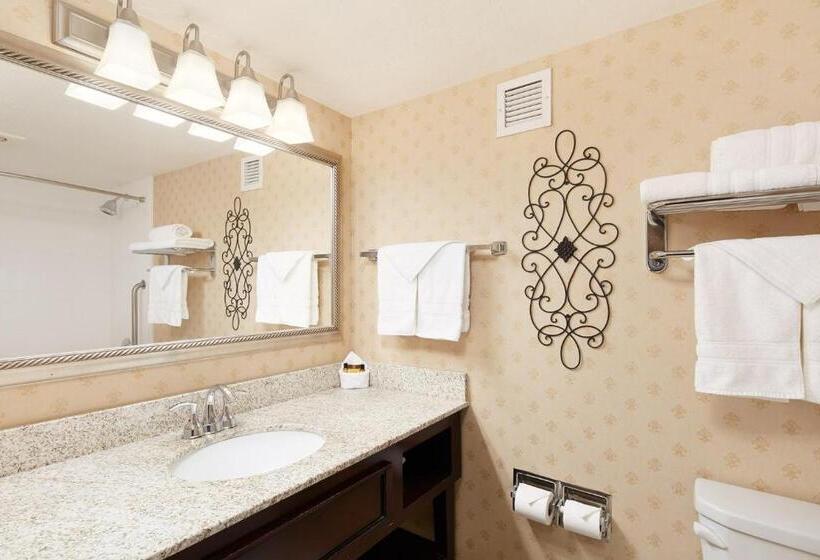 Номер Стандарт Кровать Кинг Адаптированный для Инвалидов, Best Western Plus Abbey Inn