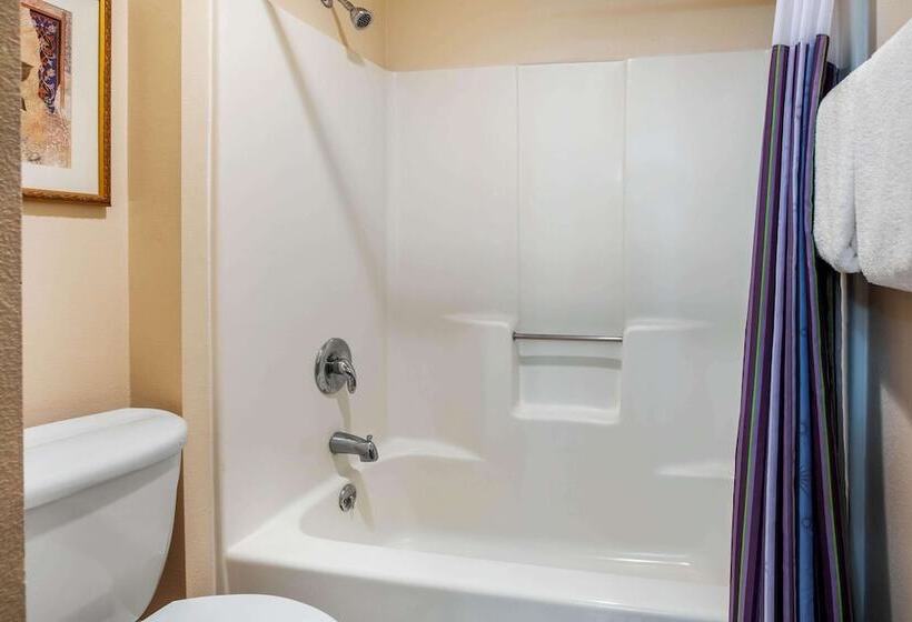 Апартаменты 1 Спальня, La Quinta Inn By Wyndham Detroit Southgate
