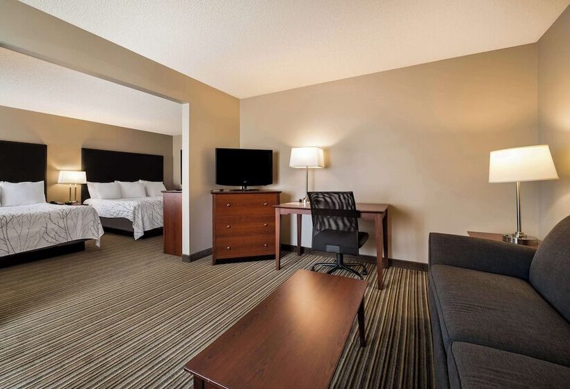 스탠다드 룸, Best Western Park Oasis Inn