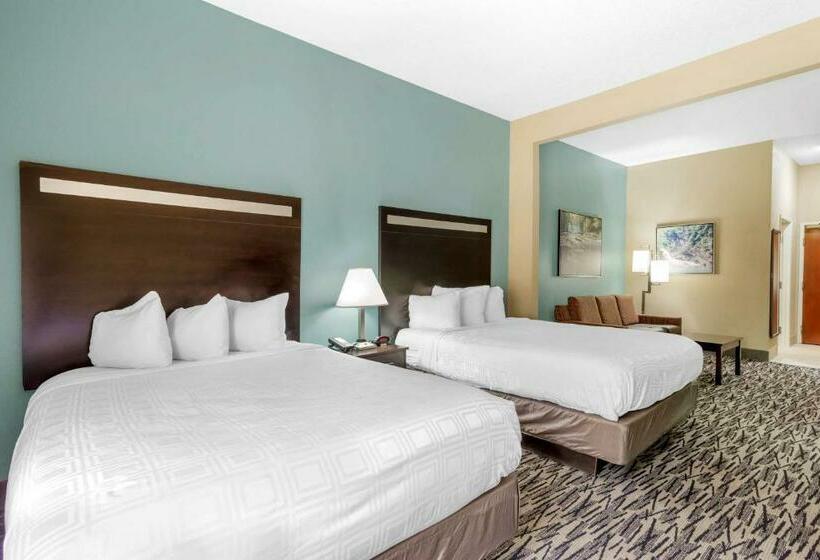 스위트, Best Western Plus Mcdonough Inn & Suites