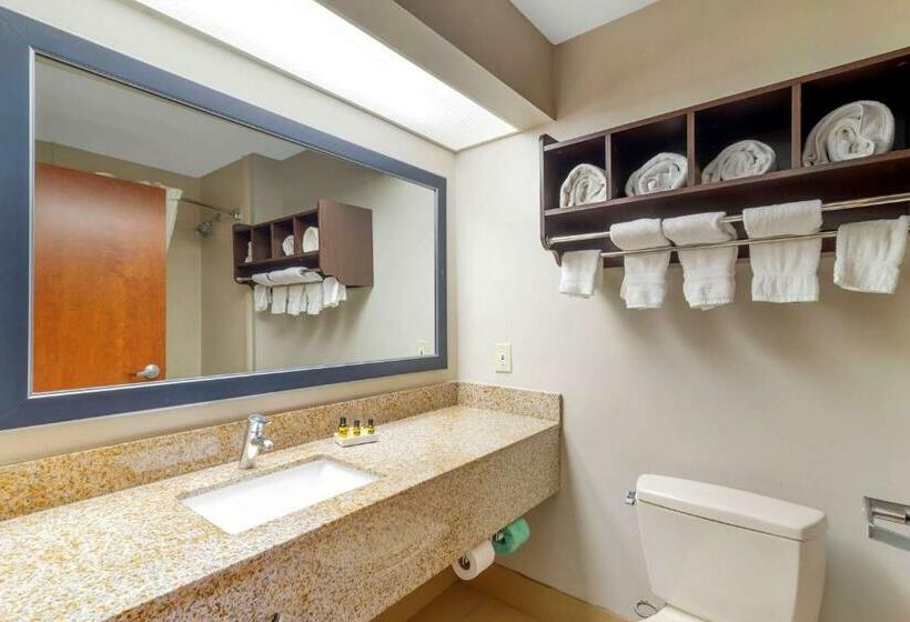 스위트, Best Western Plus Mcdonough Inn & Suites