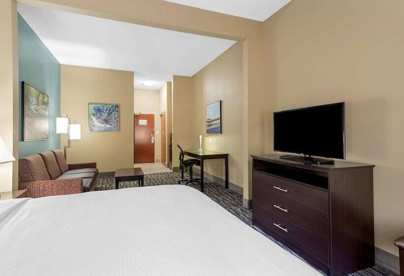 스위트, Best Western Plus Mcdonough Inn & Suites