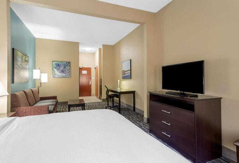 스위트 킹사이즈 침대, Best Western Plus Mcdonough Inn & Suites