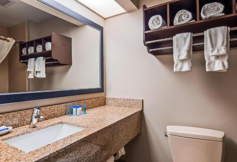 스위트, Best Western Plus Mcdonough Inn & Suites