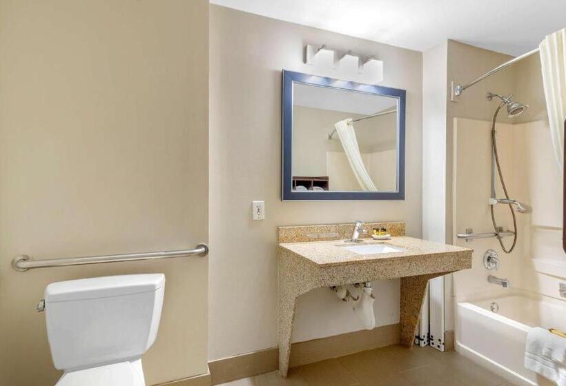 장애인을 위한 스탠다드 룸, Best Western Plus Mcdonough Inn & Suites