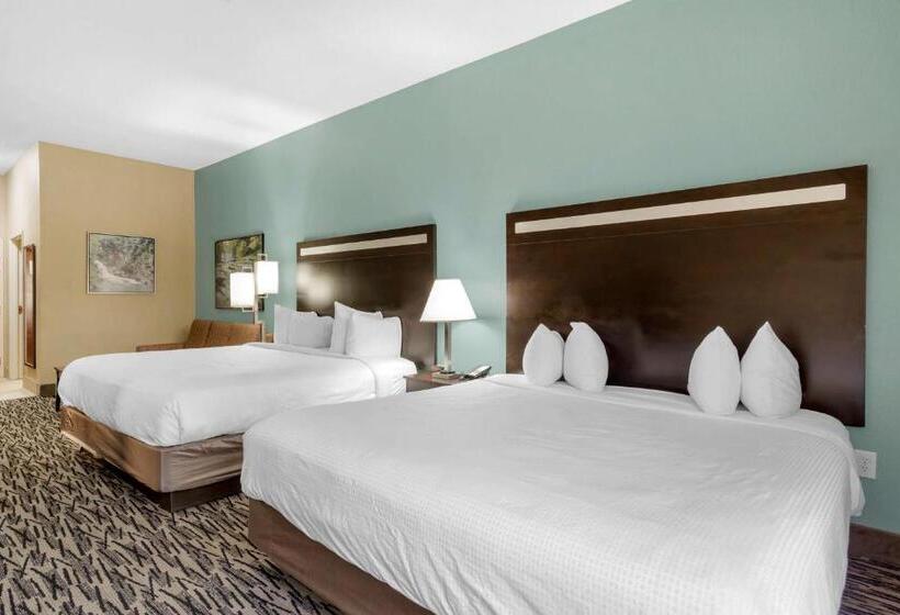 장애인을 위한 스탠다드 룸, Best Western Plus Mcdonough Inn & Suites
