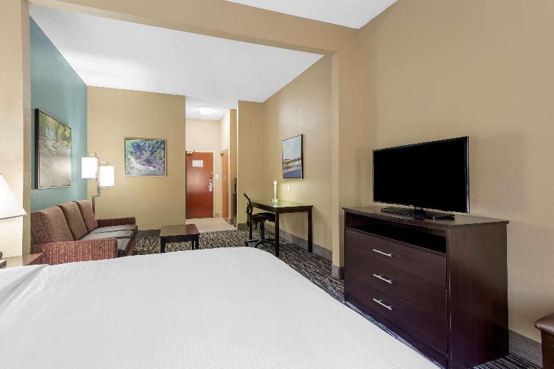 스위트 킹사이즈 침대, Best Western Plus Mcdonough Inn & Suites