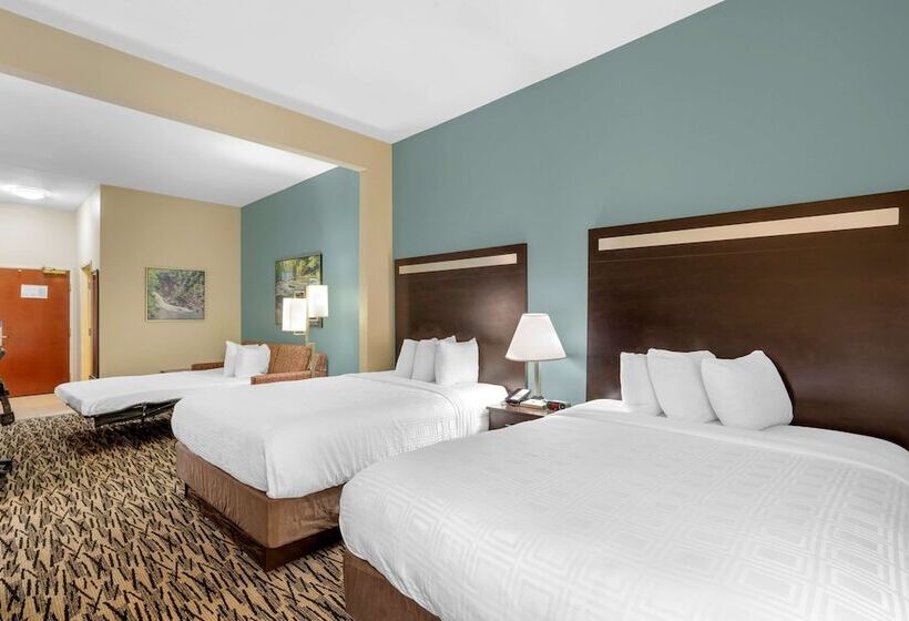 스위트, Best Western Plus Mcdonough Inn & Suites