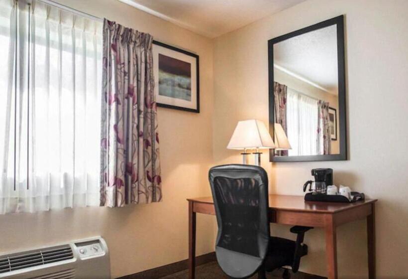 스위트 킹사이즈 침대, Quality Inn