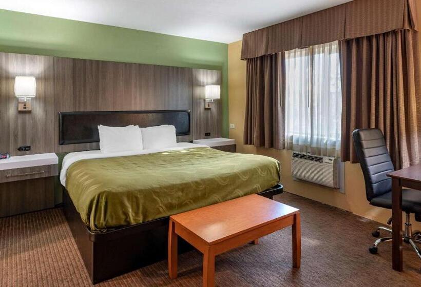 스탠다드 룸 킹사이즈 침대, Quality Inn