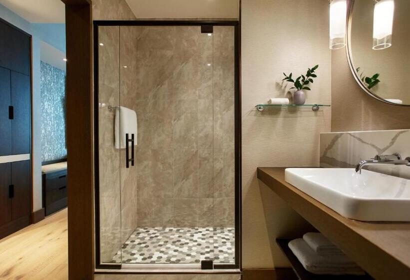 חדר סטנדרט נוף לעיר, Kimpton Hotel Arras