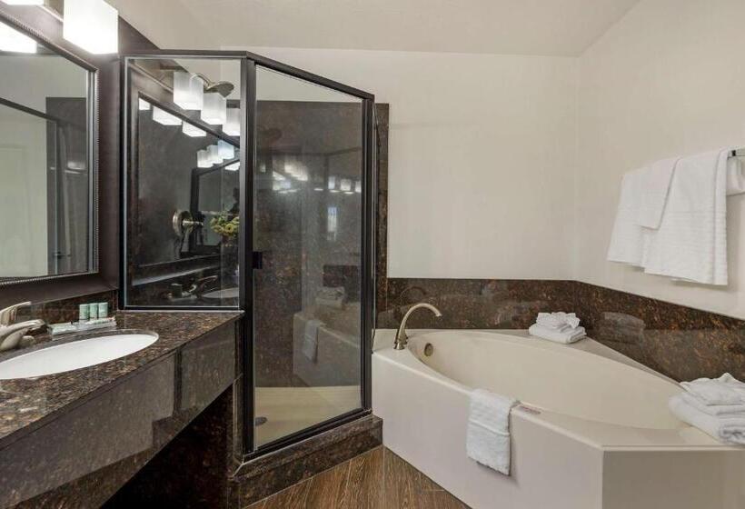 带大床的套房, Best Western Mesquite Inn