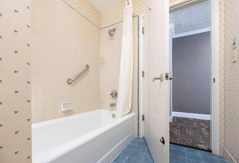 스탠다드 룸 킹사이즈 침대, Clarion Inn Silicon Valley
