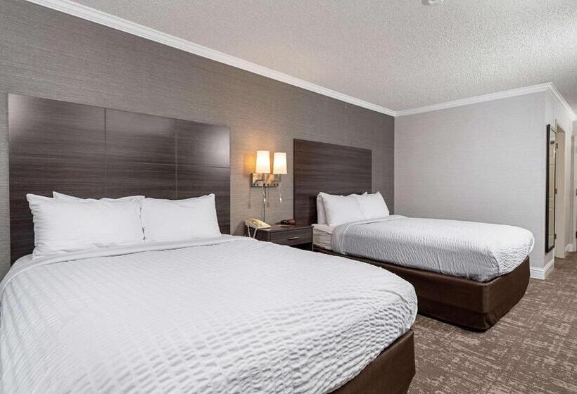 스탠다드 룸, Clarion Inn Silicon Valley