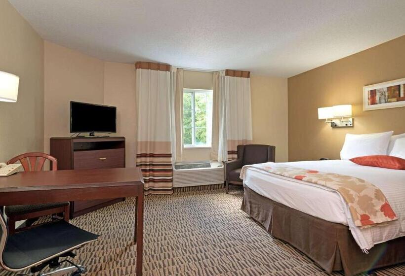 스탠다드 룸, Mainstay Suites Orlando Altamonte Springs