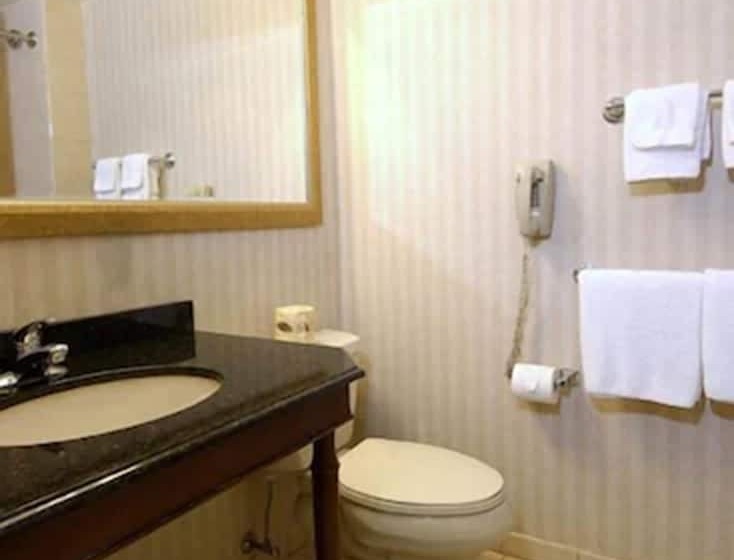Номер Стандарт, Rockville Centre Inn