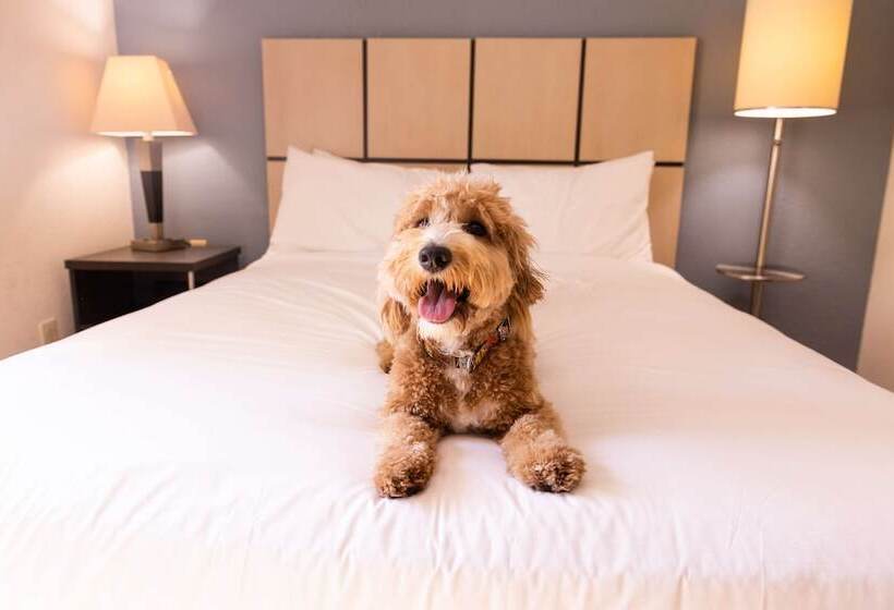 Люкс, Sonesta Simply Suites Boston Braintree