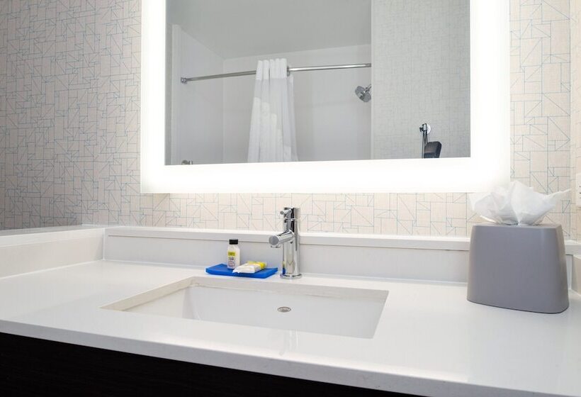套房, Holiday Inn Express & Suites   Romeoville   Joliet North, An Ihg