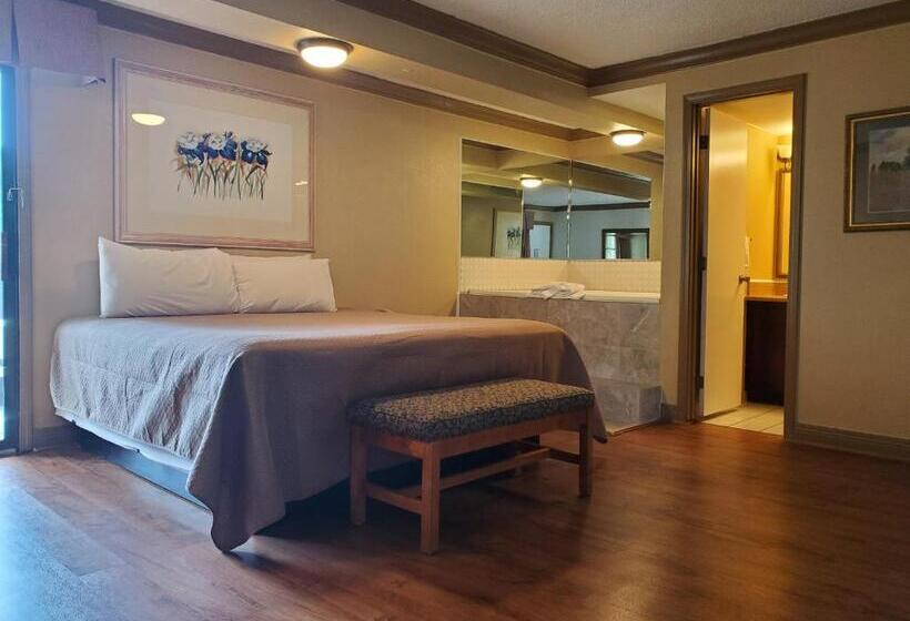 带大床的套房, Colonial House Motel