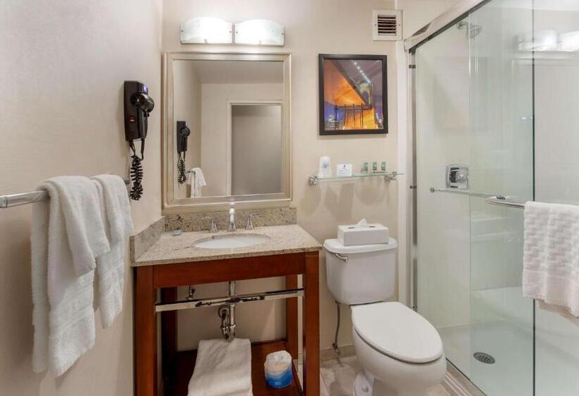 Номер Стандарт, Best Western Gregory