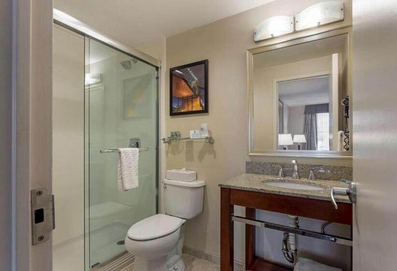 Номер Deluxe Кровать Кинг, Best Western Gregory