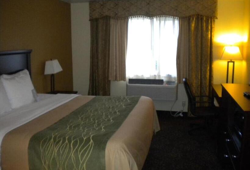 Стандартный Номер Кровать Кинг, Comfort Inn Federal Way  Seattle