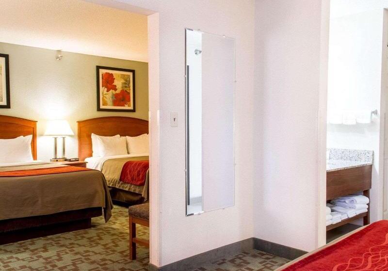 Номер Стандарт, Comfort Inn Hastings
