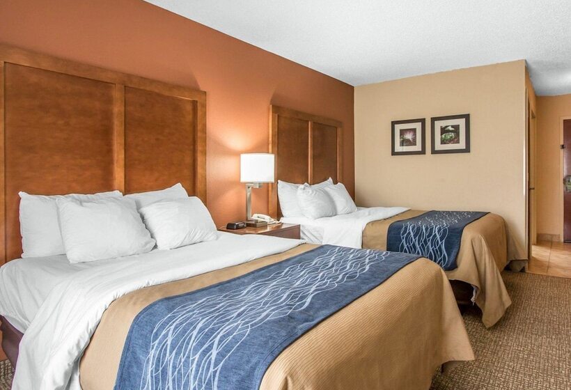 Номер Стандарт 2 Двуспальные Кровати, Comfort Inn