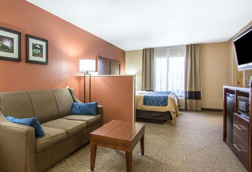 Люкс Кровать Кинг, Comfort Inn