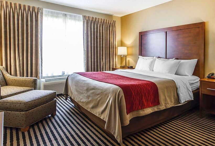 Номер Стандарт, Comfort Inn Owatonna Near Medical Center